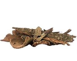 Acacia Confusa Root Bark – Whole Taiwan